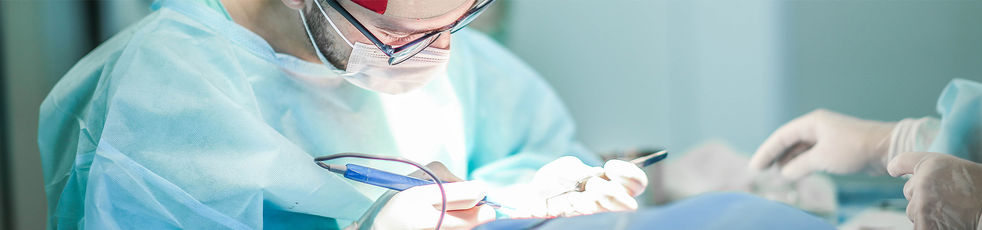 Vascular Surgery Division